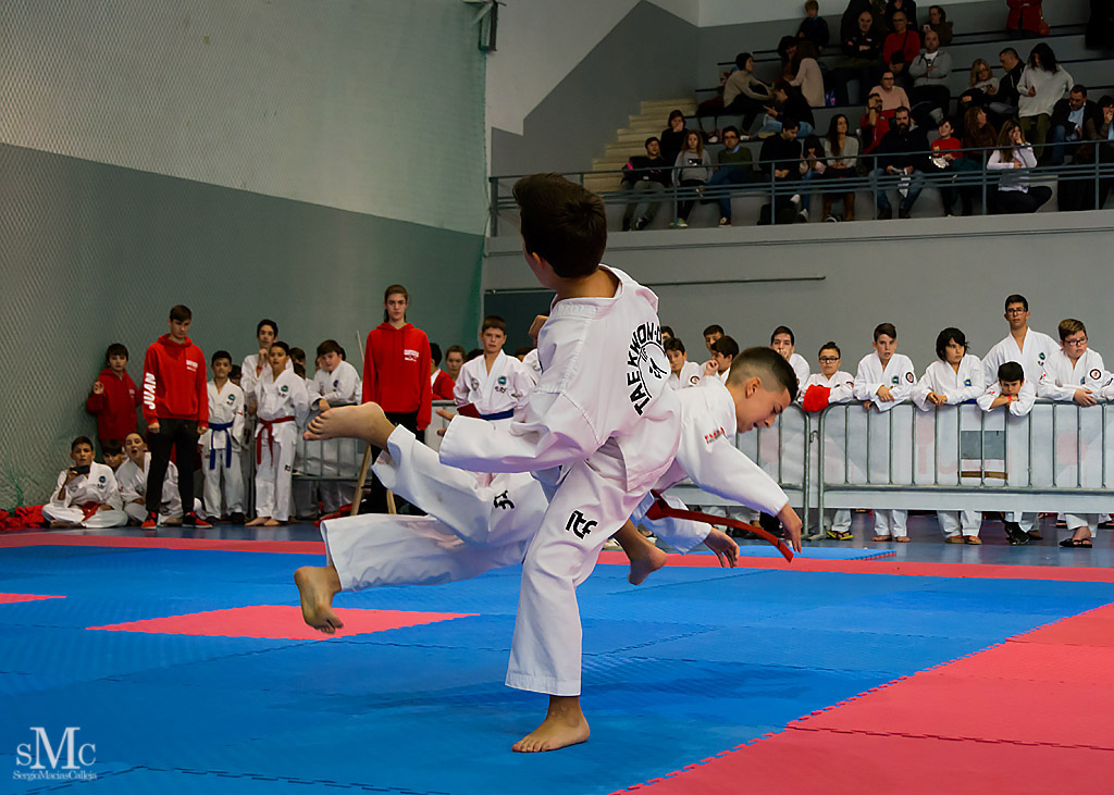 COPA SEUL, 2017  (17).JPG